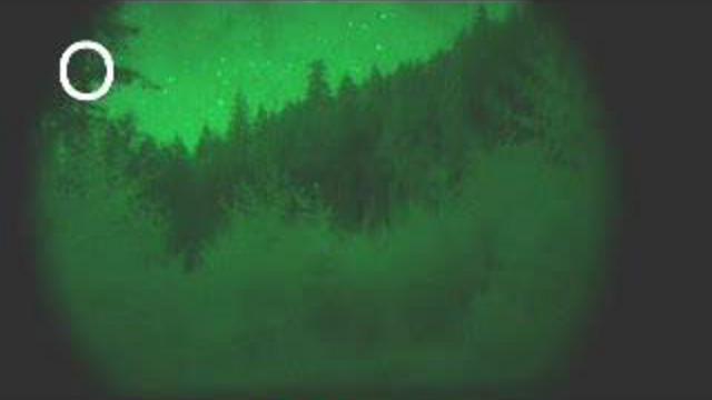 Новые подробности появления НЛО в лесу Рендхэлсем