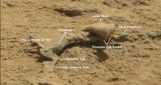 Марсианские находки виртуальных археологов