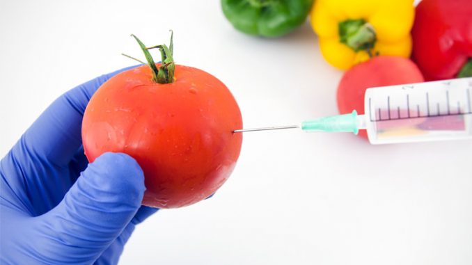 ДНК человека поглощает ГМО