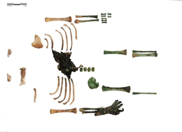 мумия, медь, монета, зеленая рука, скелет, кладбище, Венгрия