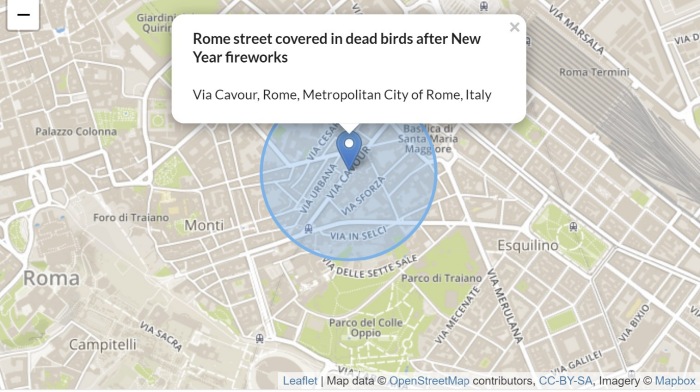 Uncategorized, Рим, птицы