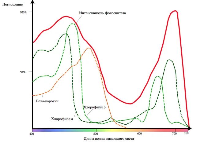 Спектр действия фотосинтеза на Земле