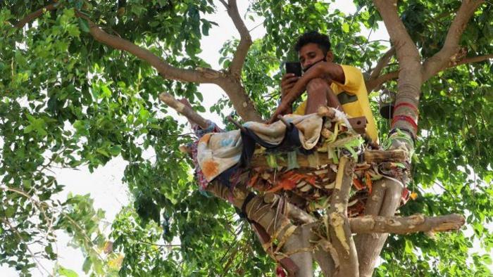 Житель Индии самоизолировался на дереве на 11 дней