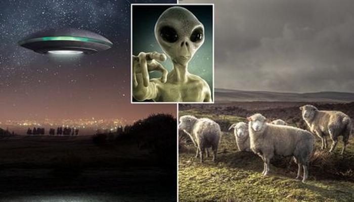Инопланетяне калечат и убивают скот в Великобритании