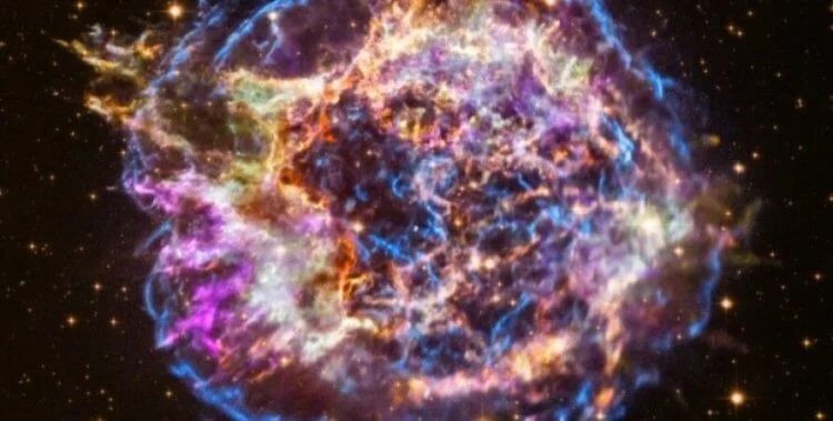 Взрыв сверхновой мог стать причиной массового вымирания на Земле