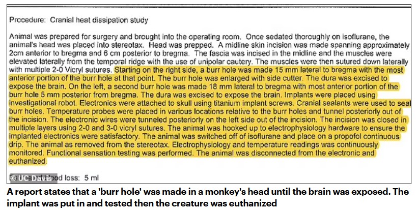 1 500 животных убиты, обезьяны подвергались пыткам в лаборатории Элона