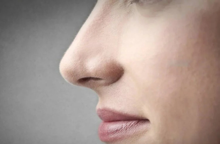 Почему у пожилых людей большие уши и носы — научное объяснение