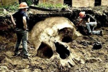 Смитсоновский институт уничтожил тысячи гигантских останков человека