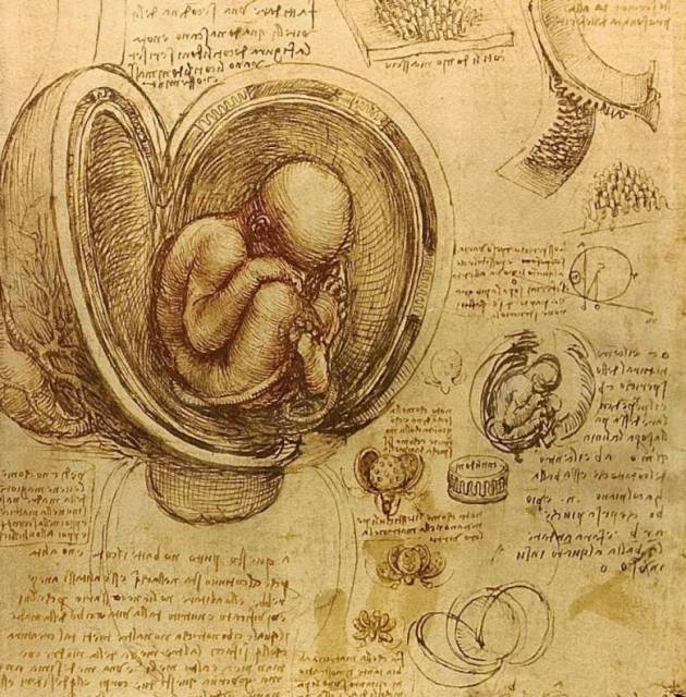 Лестерский кодекс Леонардо да Винчи