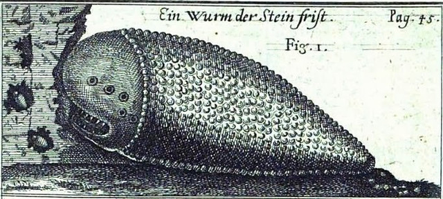 Изображение шамира в виде червя, поедающего камни