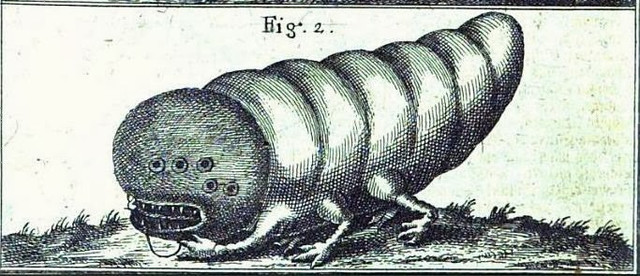 Изображение шамира в виде червя, поедающего камни