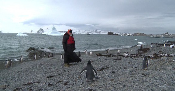 Патриарх рядом с пингвинами в Антарктиде