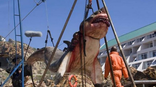 В Пакистане поймана доисторическая акула в пятнадцать тонн