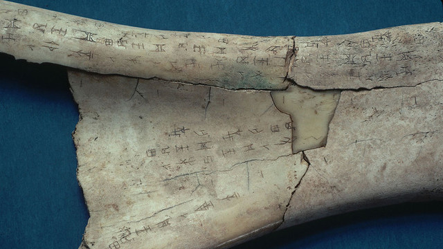 Гадальная кость эпохи Шан, сделанная из лопаточной кости вола.