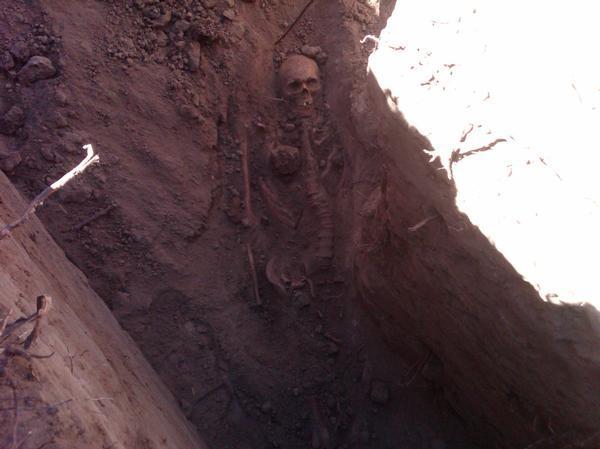на территории парка Чизмен обнаружили четыре скелета