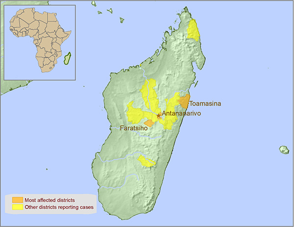 На Мадагаскаре вспышка бубонной чумы.