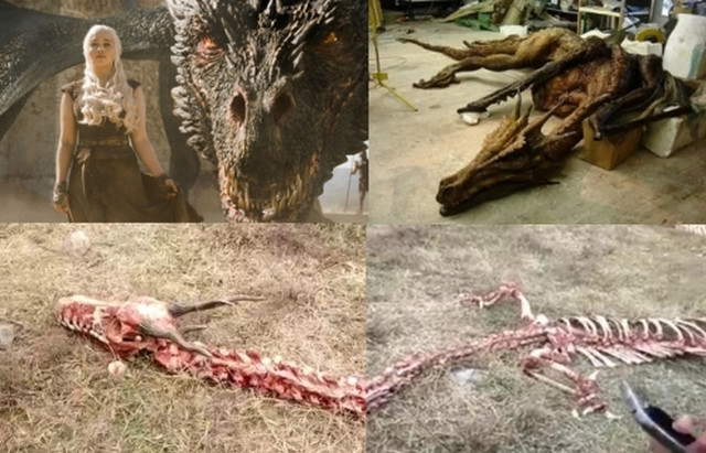 В Китае нашли скелет огромного дракона?