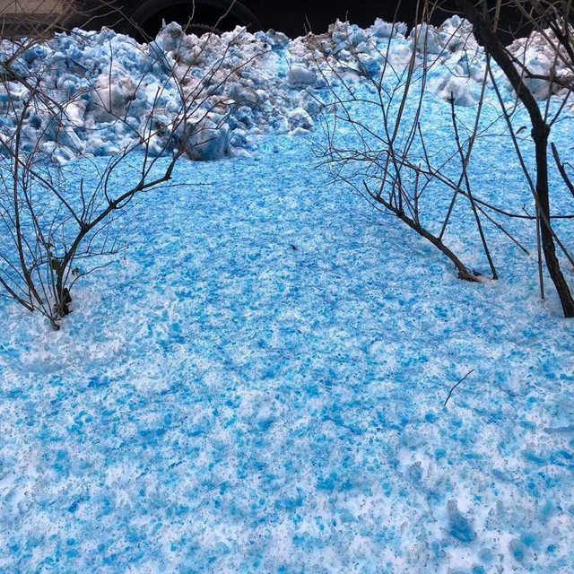 #синий_снег, #петербург