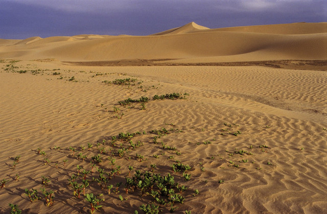 Сахара, трещина, разлом, Африка, www.ufospace.net