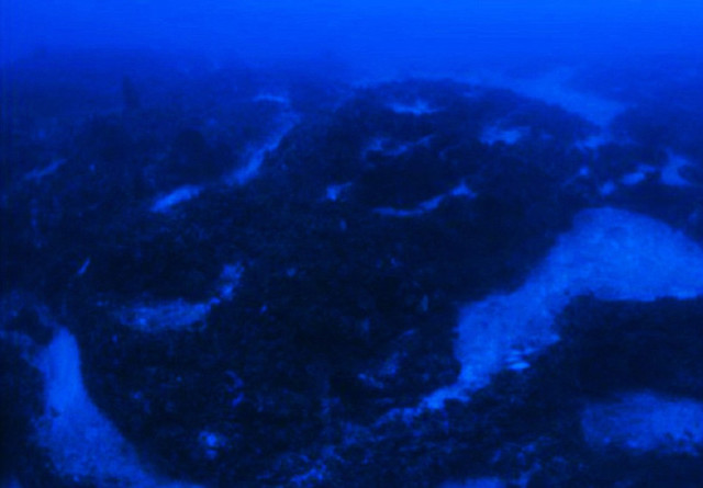 Бермудский треугольник, подводный НЛО, НПО, Даррелл Миклош