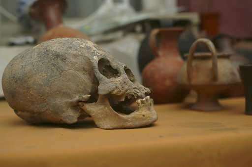 тайны истории, Боливия, вытянутые черепа, череп, science, archaeology