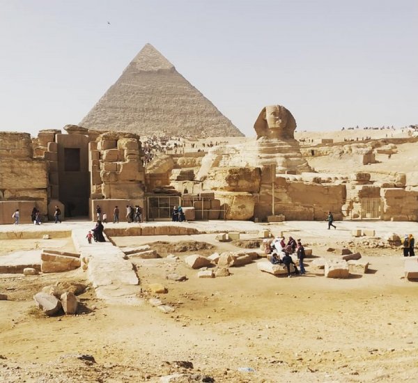пирамида, крокодил, египет, аллигатор, рептилия, каменные сооружения