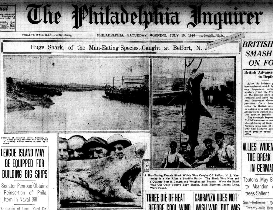 Кровавое лето 1916 или Акулья резня в Нью-Джерси