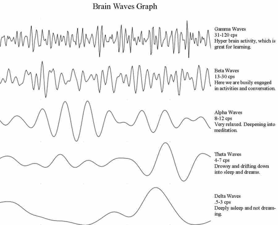 Сравнение структуры дельта-волн (нижний график)