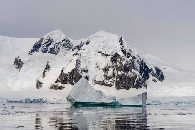 ледник, Климат, Экология