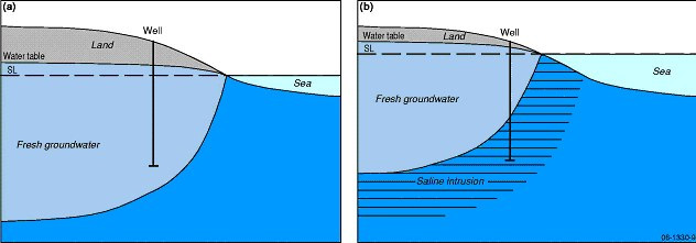 Механизм засоления подземных вод в связи с ростом уровня моря