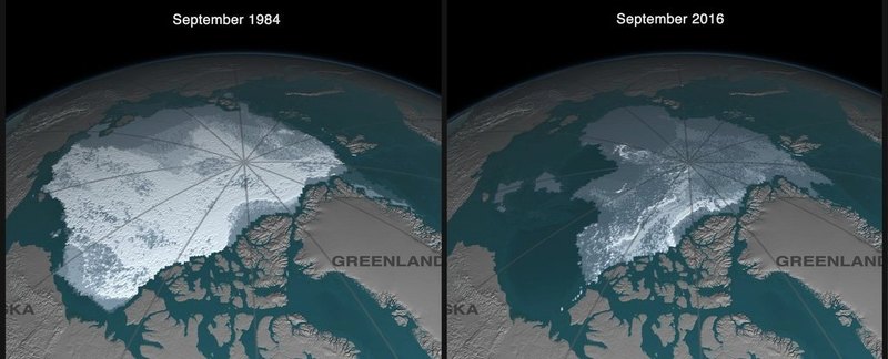 Наглядное сравнение размеров ледяного покрова Арктики в 1984 и 2016 го