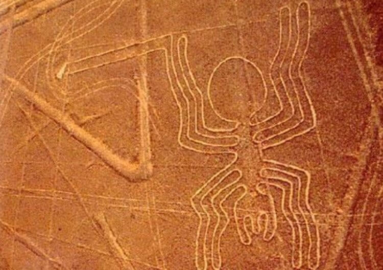 Геоглиф в виде паука может обозначать созвездие Ориона