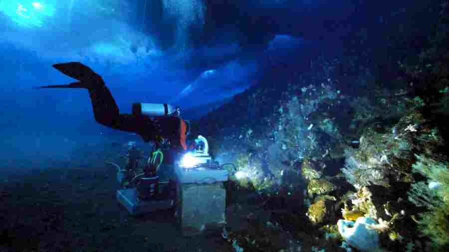 Ученые работают на глубине 21 метра, в подводной океанографической обс