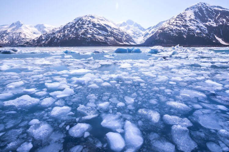 Таяние ледников является одним из главных драйверов глобального потепл