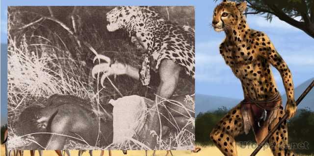 Культ людей-леопардов в Западной Африке