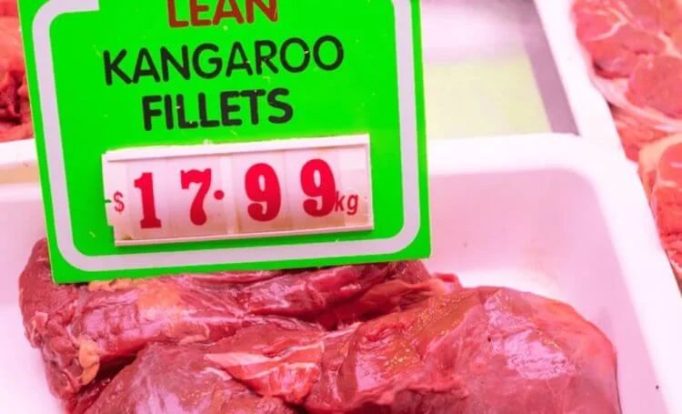 В магазинах некоторых стран можно купить мясо кенгуру
