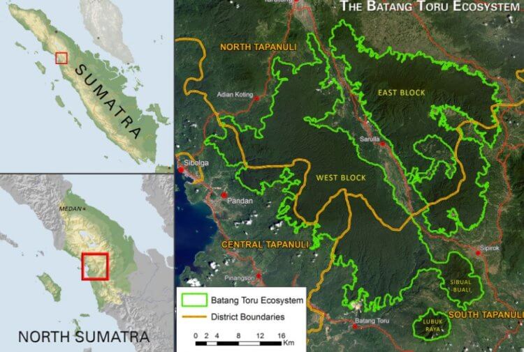 Расположение лесов Батанг-Тору на острове Суматра