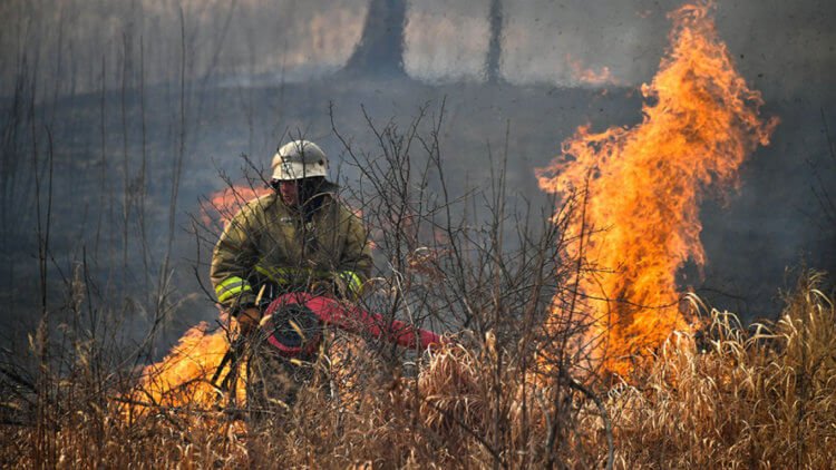 Борьба с огнем – очень опасная и рискованная профессия.
