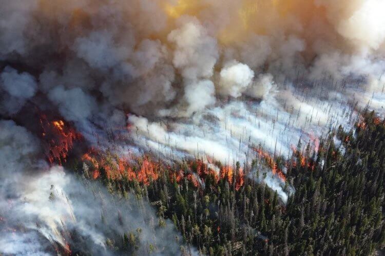 «Зомби-пожары» в Арктике поставили рекорд парниковых выбросов.