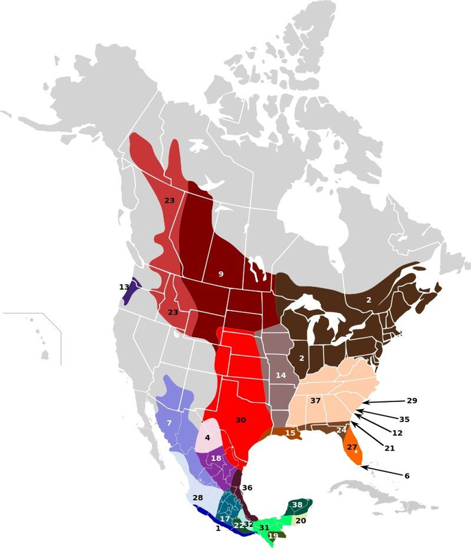 Естественный ареал различных подвидов белохвостого оленя в Северной Ам
