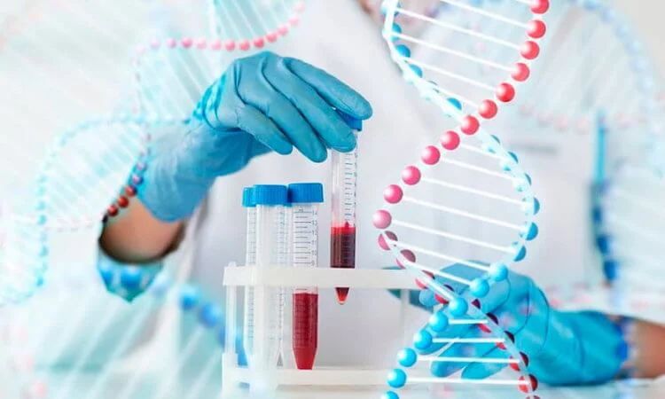 Определить биологический возраст позволяет тест ДНК