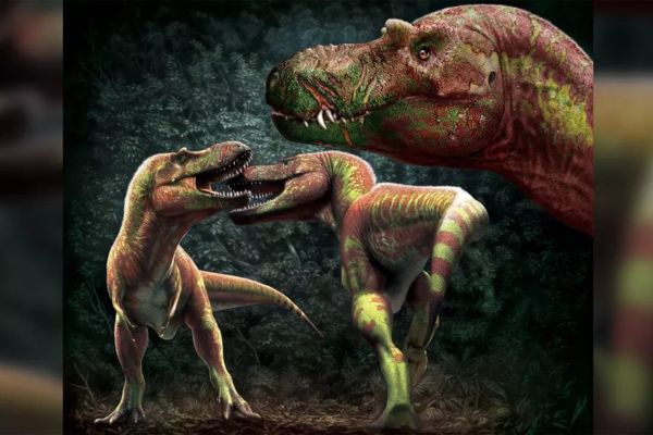 Биологи из США опровергли провокационную теорию о тираннозавре Рексе
