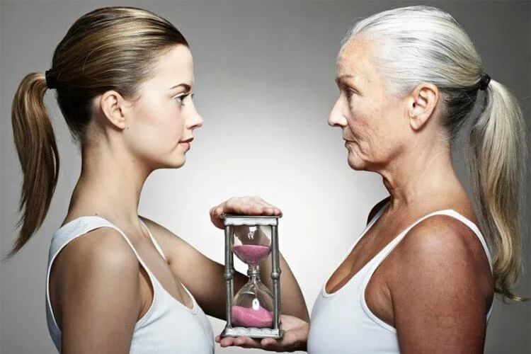 Возможно, в будущем удастся замедлить процесс старения и у людей