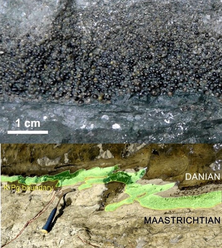 Вверху – тектиты с острова Горгона; внизу – деформированная мел-палеог