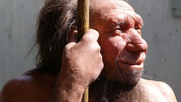 Денисовцы жили в одно время и в одном месте с неандертальцами