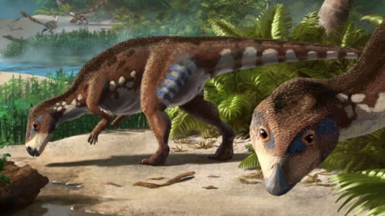 Новый для науки динозавр был намного меньше остальных
