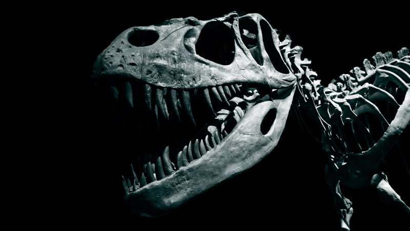 Если бы динозавры не вымерли — что тогда?