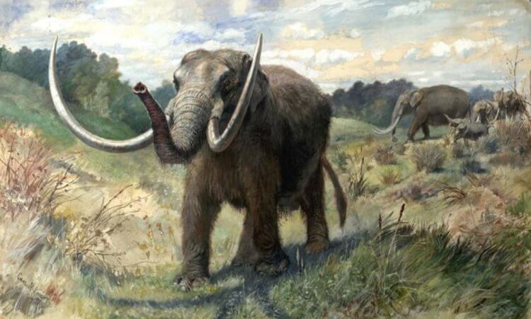 Два миллиона лет назад в Гренландии жили мастодонты, родственники слон