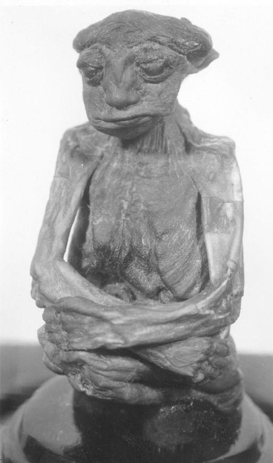 Тайна миниатюрной мумии "инопланетянина" из гор Сан-Педро