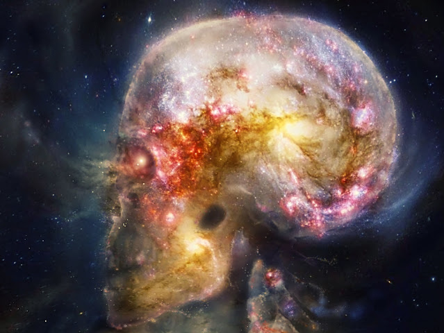 Вселенная может быть единой сущностью и осознавать саму себя